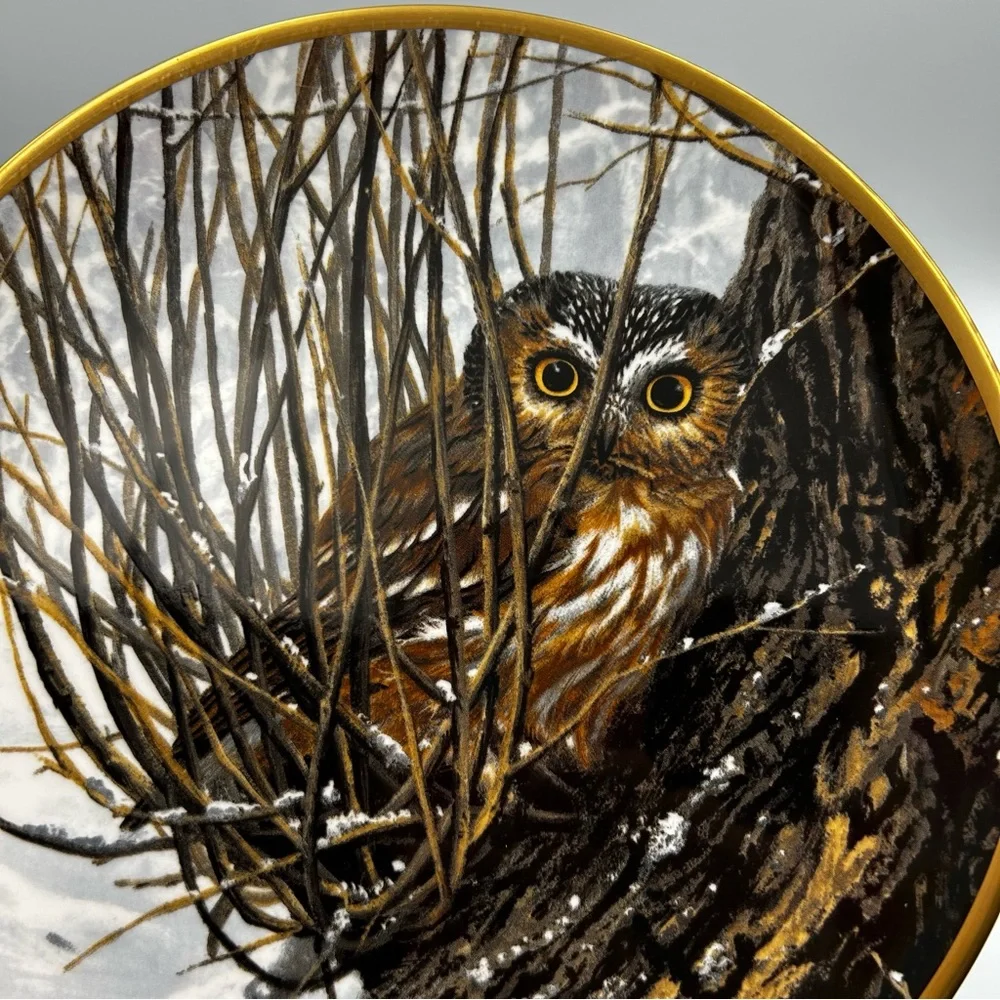 Spode Noble Owls of America Seerey-Lester Saw-whet Owl Art Decorative Plate LE
